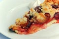 Free Gourmet Fruit Cake - Plum Cake Royalty Free Stock Image - 3161246