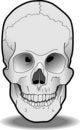 Free Human Skull Stock Photos - 3165203