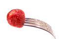 Free Appetizing Strawberry Stock Images - 3168504