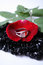 Free Ring, Petal And Beads Royalty Free Stock Photography - 3163337