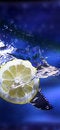 Free Lemon Splash Royalty Free Stock Image - 3174086