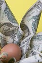 Free Nest Egg Closeup Royalty Free Stock Images - 320489