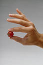 Free Tiny Tomato Royalty Free Stock Photo - 320645