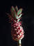 Free Ananas Stock Photo - 322080