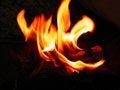 Free Hindu Fire Worship-II Stock Photo - 3200640