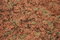 Free Lichen On Rocks 1 Stock Images - 3201294