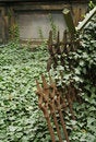 Free Old Graveyard Fence Stock Images - 3215154