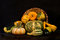 Free Pumpkins Stock Image - 3210311