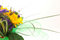 Free Bunch Of Flowers Stock Image - 3216751