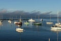 Free Harbor Boats Royalty Free Stock Photography - 3223157