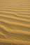 Free Waves Of Sand In The Desert Royalty Free Stock Photo - 3228395