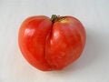 Free Heart Tomato Stock Image - 3230291
