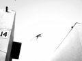 Free Monkey Jumps Stock Image - 3232471
