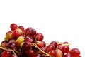 Free Juicy Grapes Royalty Free Stock Image - 3233816