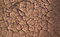 Free Dirt Track Stock Photography - 3238762