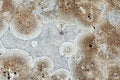 Free Old Marble Texture Background Stock Photos - 3245943