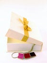 Free Present Royalty Free Stock Photos - 3246068
