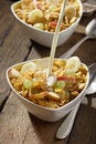 Free Corn Flakes With Fruits Royalty Free Stock Image - 3253746
