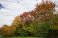 Free Colors Of The Fall Royalty Free Stock Image - 3261276