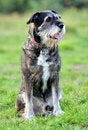 Free Hunter Royalty Free Stock Images - 3266369