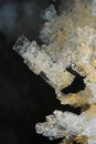 Free Snow And Ice Crystals Stock Images - 3266894