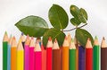 Free Diversity And Sameness Royalty Free Stock Photo - 3269245
