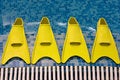 Free Four Yellow Flippers Stock Photos - 3269433