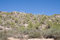 Free Arizona 1 Royalty Free Stock Photos - 3268138