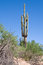 Free Arizona 7 Royalty Free Stock Image - 3268146
