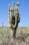 Free Arizona 8 Stock Images - 3268224