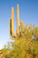 Free Pinnacle 1 Royalty Free Stock Photography - 3268247