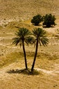 Free Arid Landscape Royalty Free Stock Images - 3274959