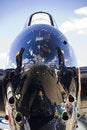Free War Bird On The Runway Stock Photo - 3275090