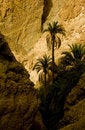 Free Arid Landscape Stock Photography - 3275392