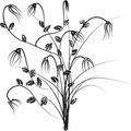 Free Winter Backdrop Royalty Free Stock Photography - 3279067