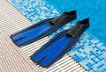 Free Blue Flippers In Swimming Pool Stock Photo - 3282400