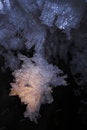 Free Snow And Ice Crystals Royalty Free Stock Photo - 3286085