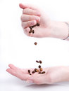 Free Handful Of Coffee Beans Royalty Free Stock Photo - 3287075