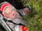 Free Boy Touching Pine Branch Royalty Free Stock Images - 3285439