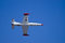 Free War Bird In Flight Royalty Free Stock Image - 3289696