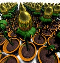 Free Gold_egg_plants_04 Stock Photos - 3291043