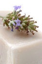 Free Soap With Lavender Stock Images - 3296764