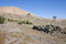 Free Arid Landscape In Lanzarote Royalty Free Stock Photo - 3295695