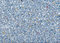 Free Pattern Of Colored Plastic Royalty Free Stock Photos - 3297908