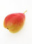 Free A Ripe Pear Stock Photos - 3298133