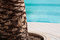 Free Holidays Royalty Free Stock Photography - 3299407