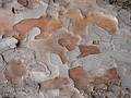 Free Abstract Tree Bark In Closeup Stock Image - 332471