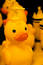 Free Rubber Duck Stock Image - 330861