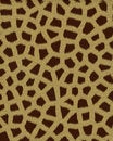 Free Giraffe Small Spots Short Fur Royalty Free Stock Images - 3305479