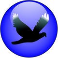 Free Web Button Stock Photography - 3308362